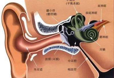 感觉统合之前庭觉
