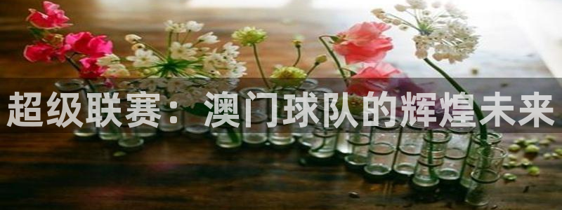 wg电子技巧：超级联赛：澳门球队的辉煌未来