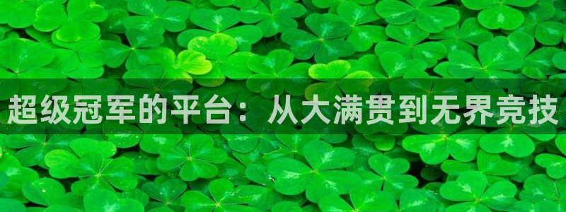 wg电子：超级冠军的平台：从大满贯到无界竞技
